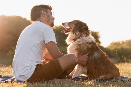 What factors are considered in determining liability in a dog attack case in Ontario?