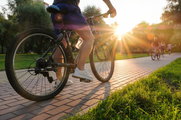 Persian Bicycle Accident Lawyer: Protecting Cyclists’ Rights in the Iranian Community